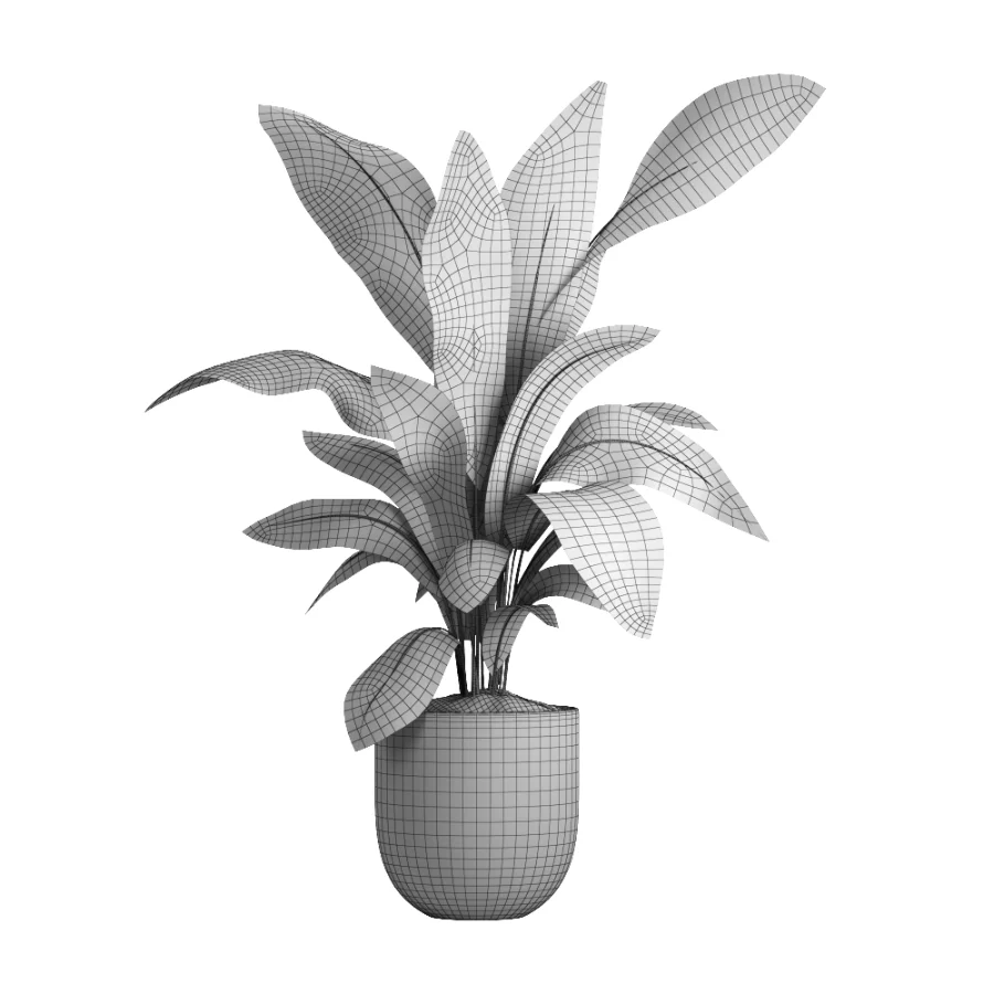 indoor plant 050 - Image 4