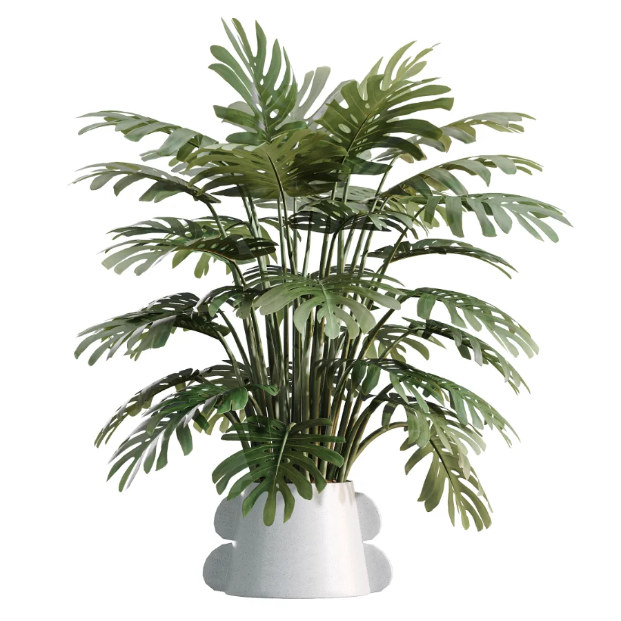 AV Indoor Plants Set 479 Olive Elegant Monstera Ficus Palm - Image 3