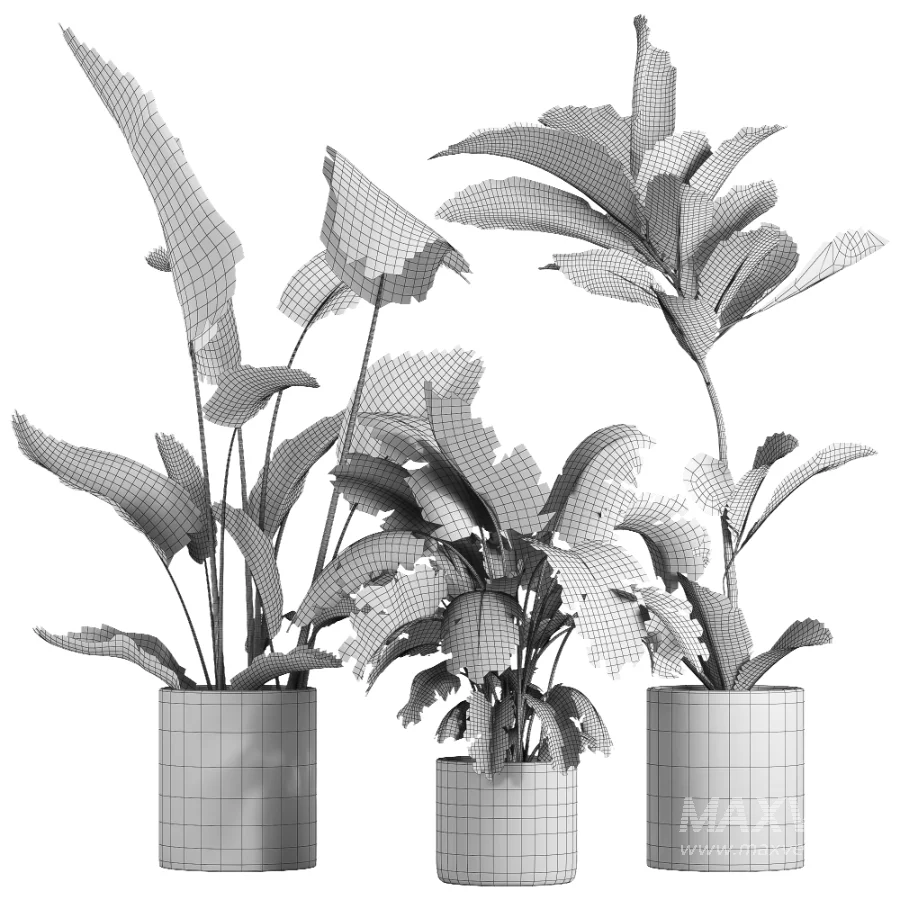 indoor plant 055 - Image 5