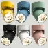 FUN LAMP - Thumbnail 2