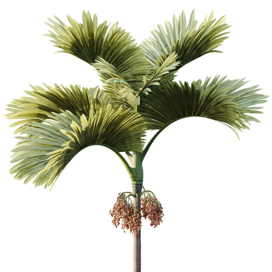 ntal fruits. - Image 1