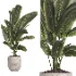 indoor plant 060 - Thumbnail 2