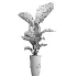 indoor plant 081 - Thumbnail 1