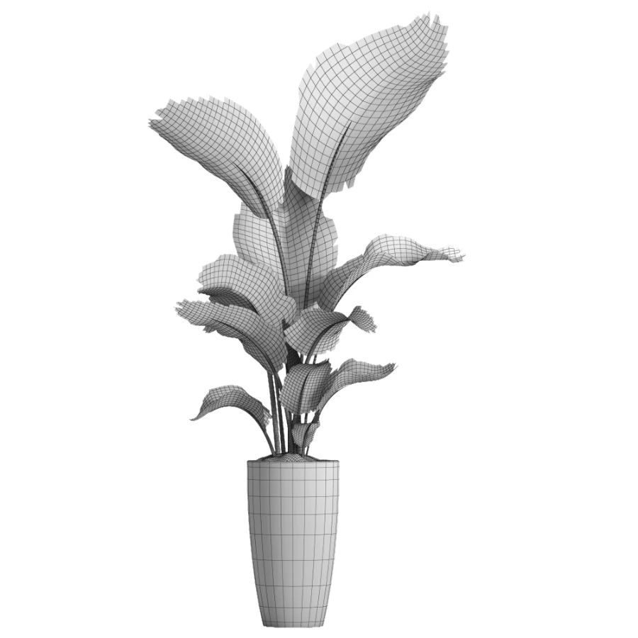 indoor plant 081 - Image 1