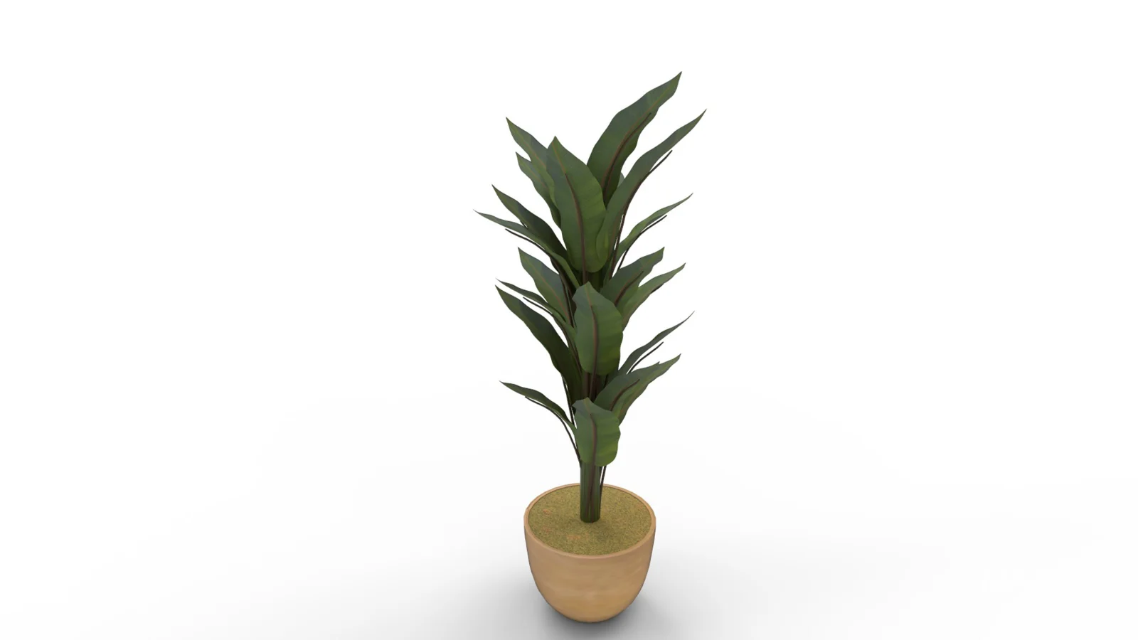 Banana Leaf Tree in Planter - Image 6