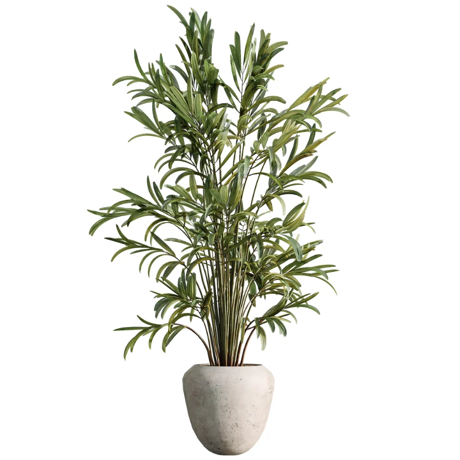 AV Indoor Plants Set 484 Areca Palm and Olive Eucalyptus and Dracaena Warnecki and Ficus Elastica - Image 3