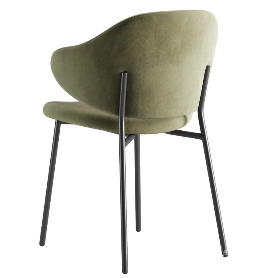 Bassi Chair - Image 5