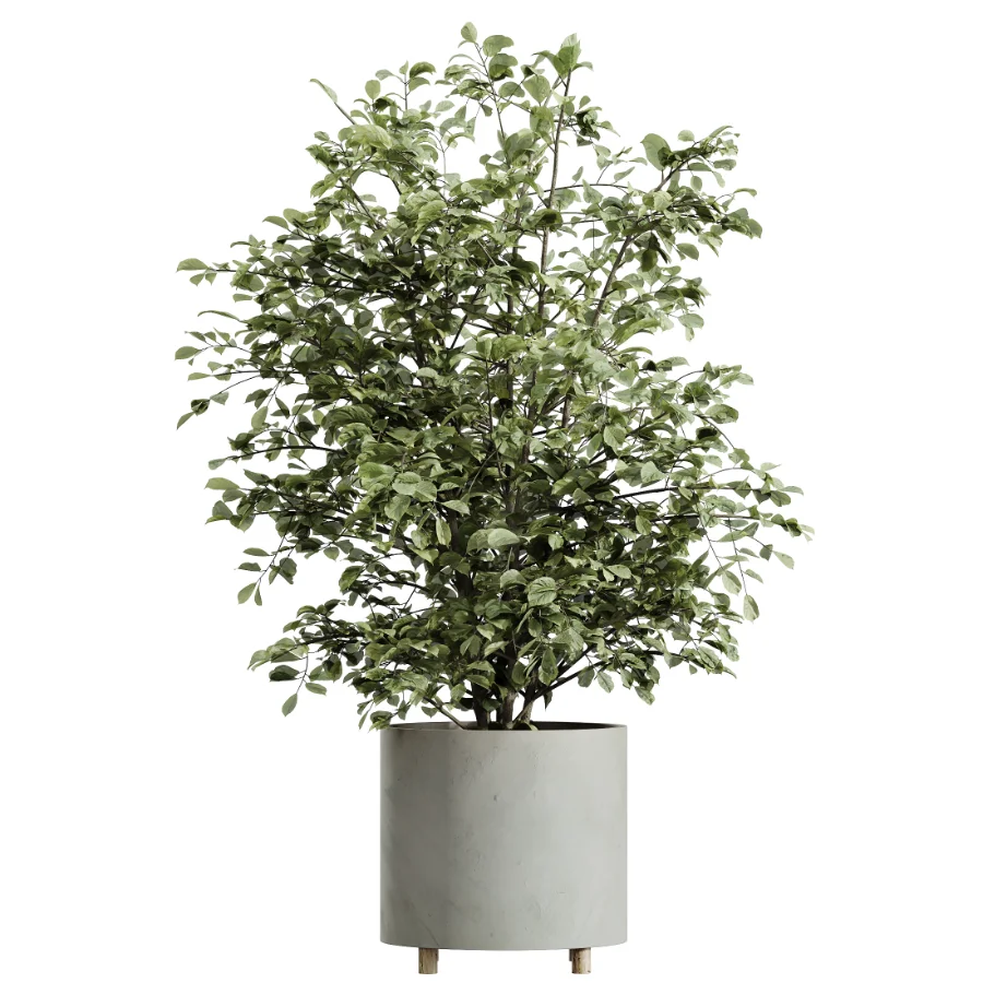ntal greenery, making it an excellent choice for luxury interiors, hospitality spaces, commercial environments, and architectural landscape scenes. - Image 4