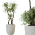 AV Indoor Plants Set 490 Yucca Olive Artificial Rhapis Orange Palm - Thumbnail 2
