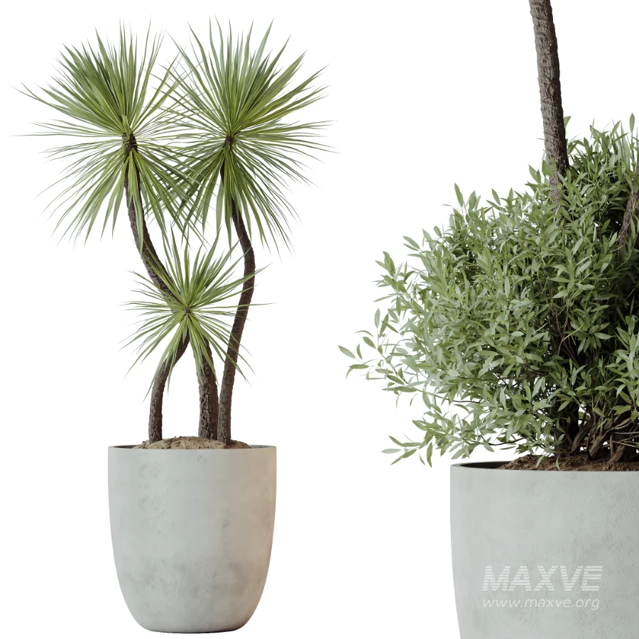 AV Indoor Plants Set 490 Yucca Olive Artificial Rhapis Orange Palm - Image 2