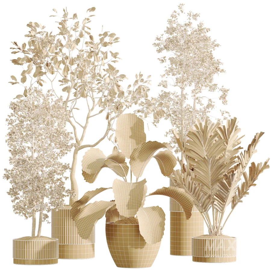 AV Indoor Plants Set 489 PalmCalathea Lutea Olive Ficus - Image 7