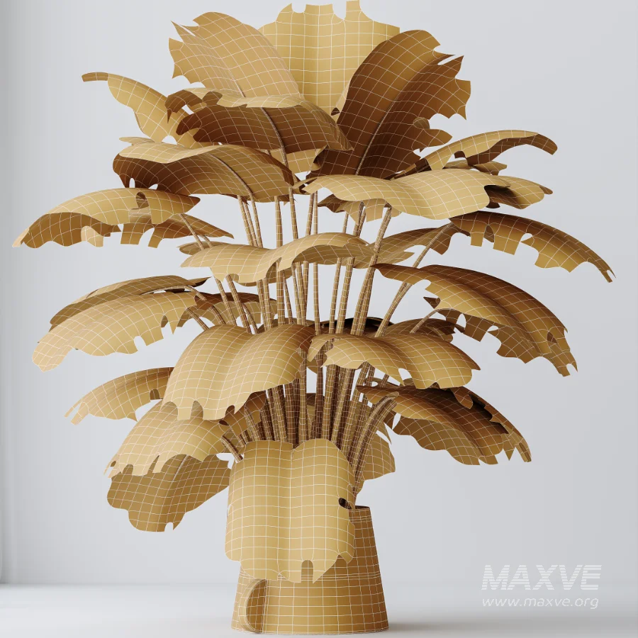 AV Indoor Plants Set 479 Olive Elegant Monstera Ficus Palm - Image 9