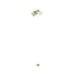 Wall Lamp - Thumbnail 4