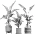 Nicolai set – indoor plant 75 - Thumbnail 4