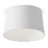 Aromas Del Campo Laf Ceiling Lamp - Thumbnail 3