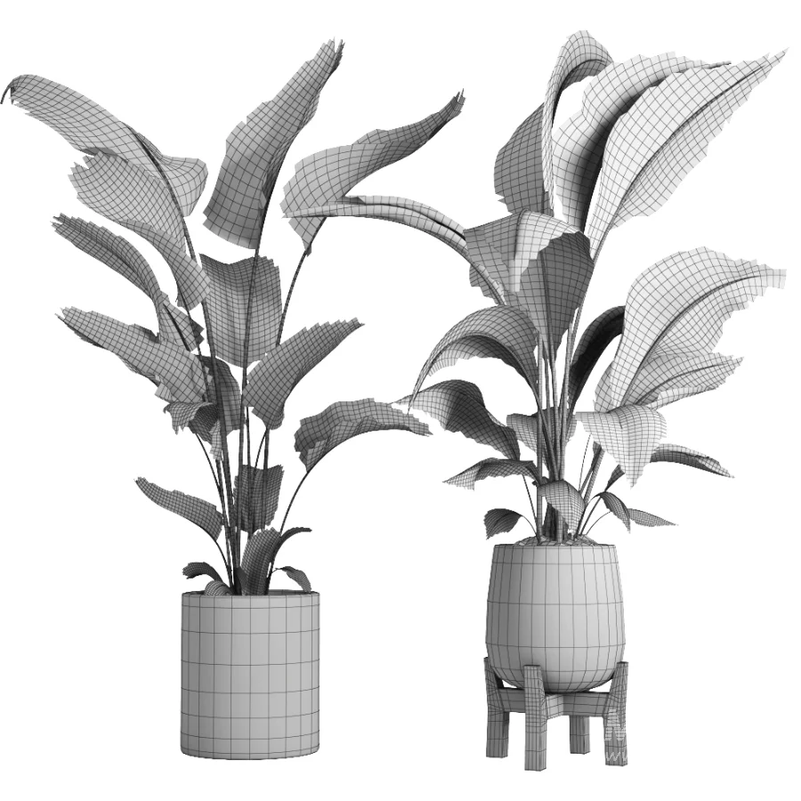 indoor plant 067 - Image 4