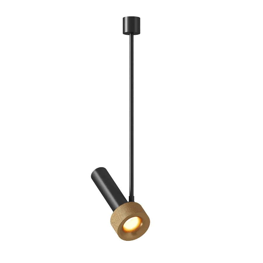 Aromas Del Campo Focus 02 Pendant Lamp - Image 2