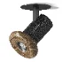 Aromas Del Campo Cocus Ceiling Light - Thumbnail 2