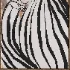 Painting 105 - Thumbnail 4