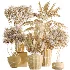 AV Indoor Plants Set 525 Yucca Olive Areca Palm Spathiphyllum - Thumbnail 9