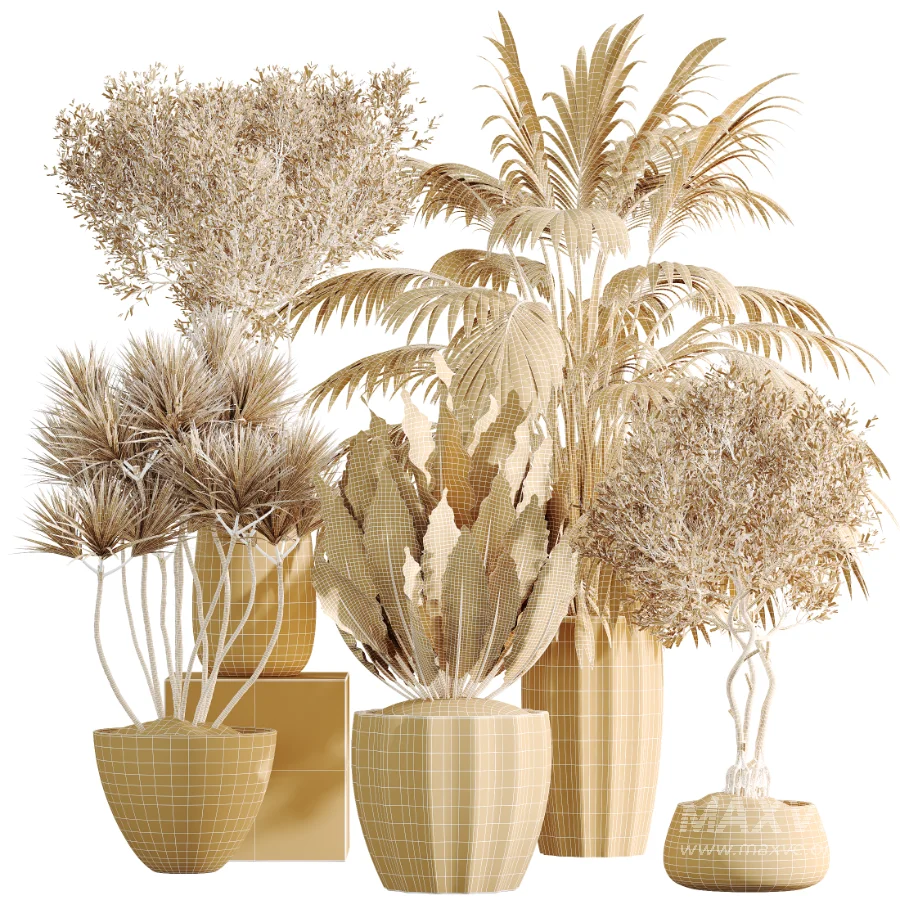 AV Indoor Plants Set 525 Yucca Olive Areca Palm Spathiphyllum - Image 9