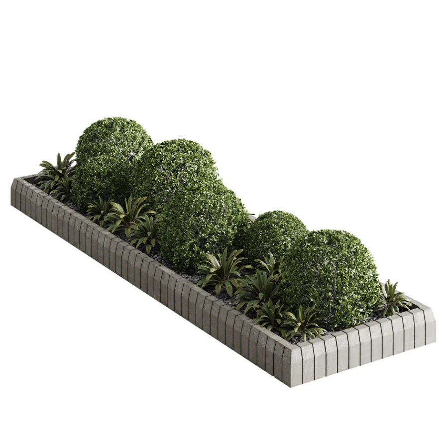 Outdoor Plant 49 - Image 2