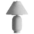 RAVEN Table Lamp - Thumbnail 1