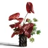 Burgundy Anthurium Arrangement 60 - Thumbnail 1