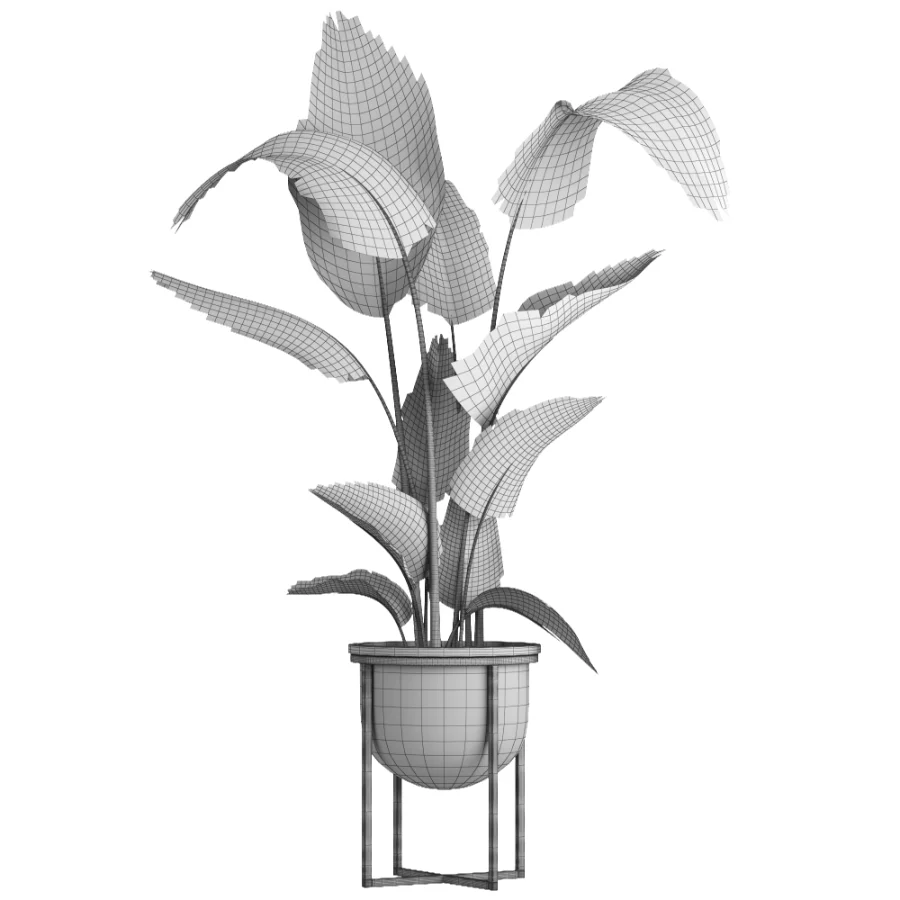indoor plant 078 - Image 5