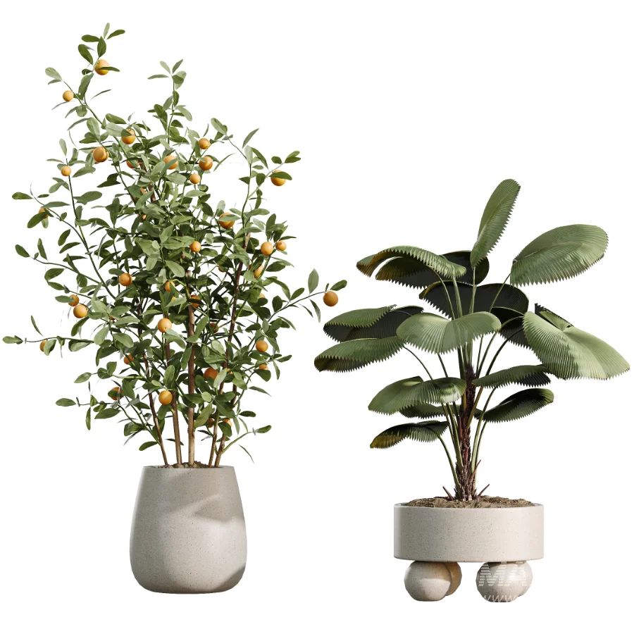 AV Indoor Plants Set 490 Yucca Olive Artificial Rhapis Orange Palm - Image 9