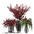 Bouquet berries vases - Thumbnail 4