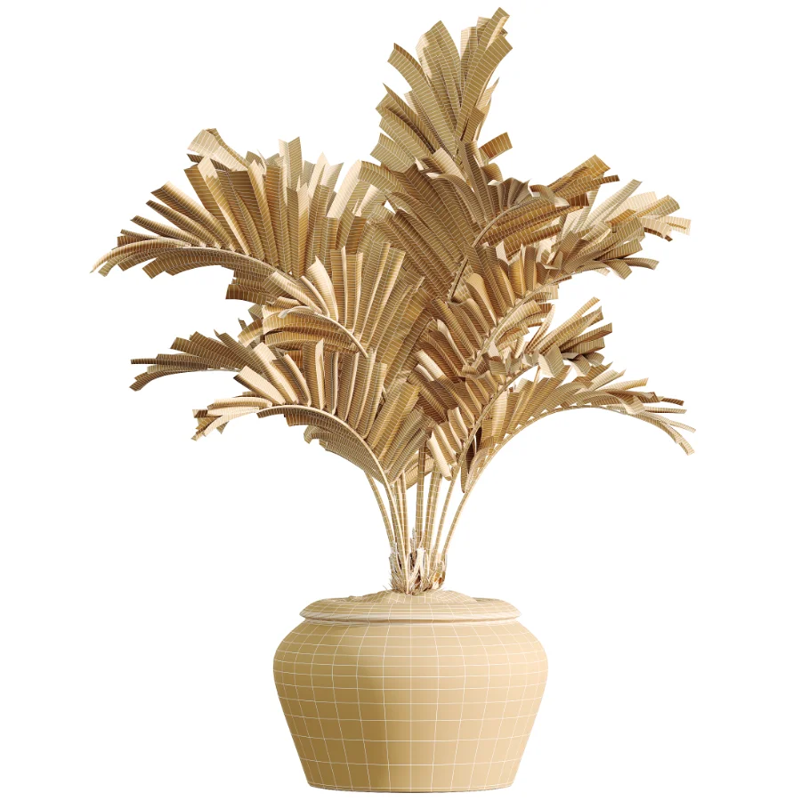 AV Indoor Plants Set 523 Areca Palm Olive Euphorbia Cyara - Image 10