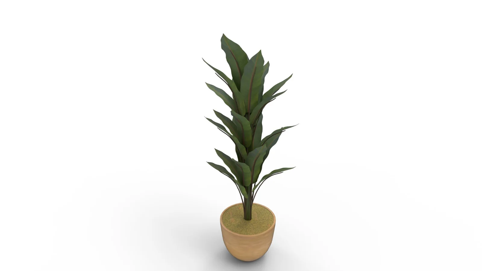 Banana Leaf Tree in Planter - Image 2