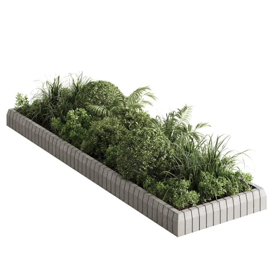 Outdoor Plant 49 - Image 4
