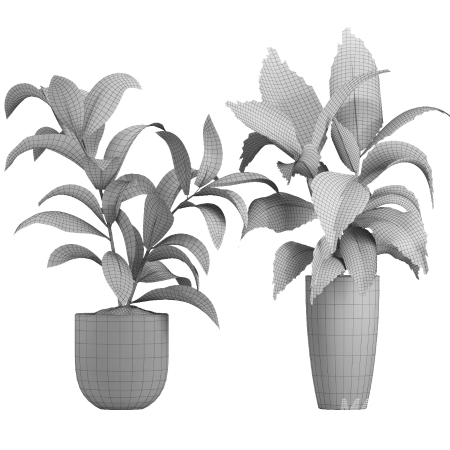 indoor plant 080 - Image 4