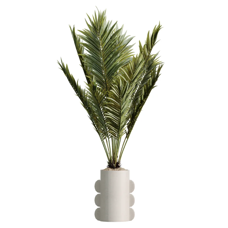 AV Indoor Plants Set 479 Olive Elegant Monstera Ficus Palm - Image 4