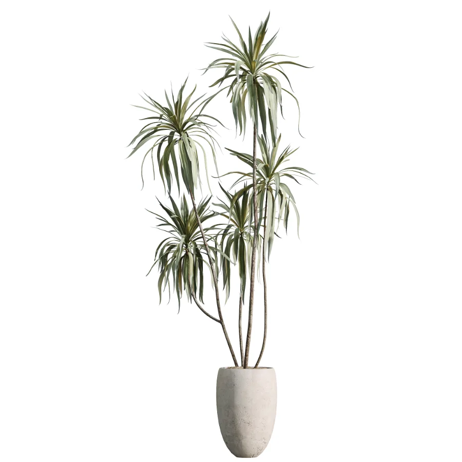 AV Indoor Plants Set 484 Areca Palm and Olive Eucalyptus and Dracaena Warnecki and Ficus Elastica - Image 2