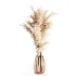 Pompas bouquet - Thumbnail 3