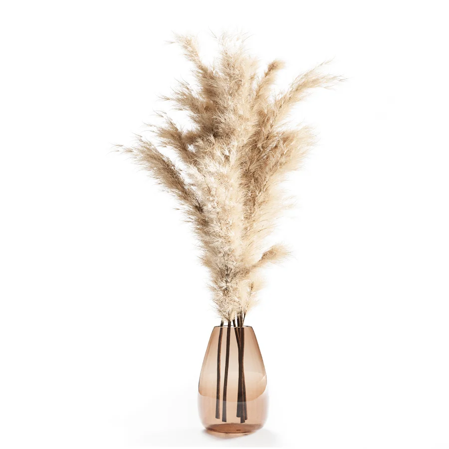 Pompas bouquet - Image 3