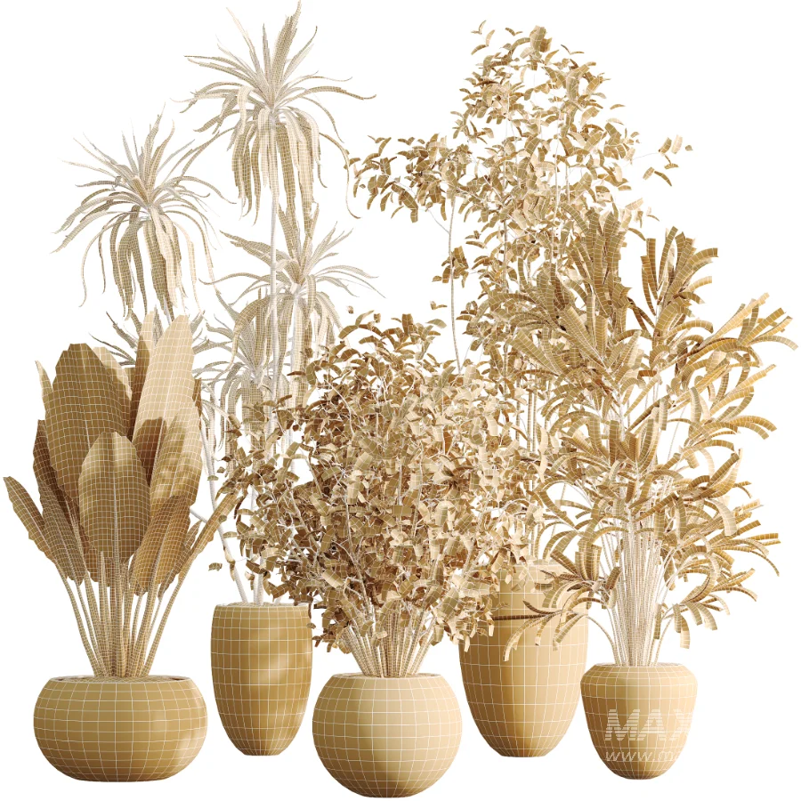 AV Indoor Plants Set 484 Areca Palm and Olive Eucalyptus and Dracaena Warnecki and Ficus Elastica - Image 8