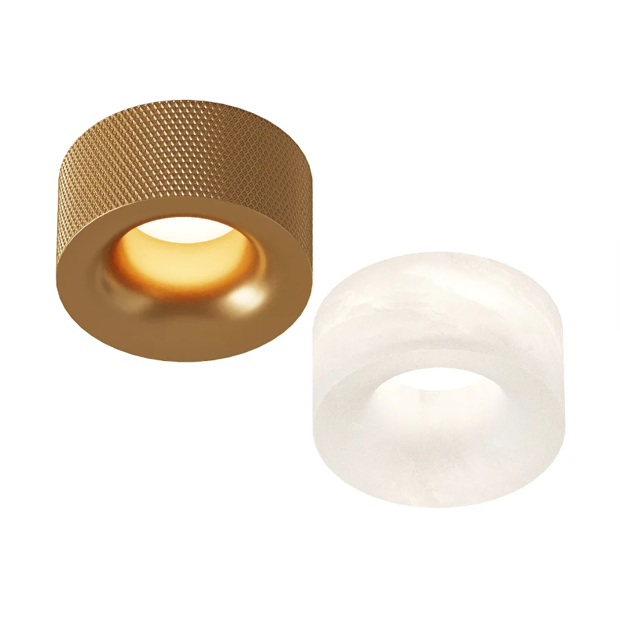 Aromas Del Campo Focus Ceiling Lamp - Image 3