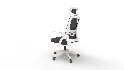Home Office Desk Chair - Thumbnail 1