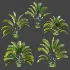 AV Plant Strelitzia Nicolai Palm Bush 01 - Thumbnail 7