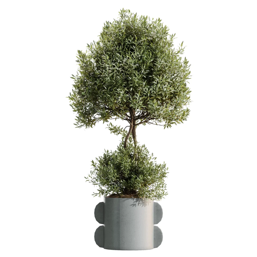 AV Indoor Plants Set 479 Olive Elegant Monstera Ficus Palm - Image 1