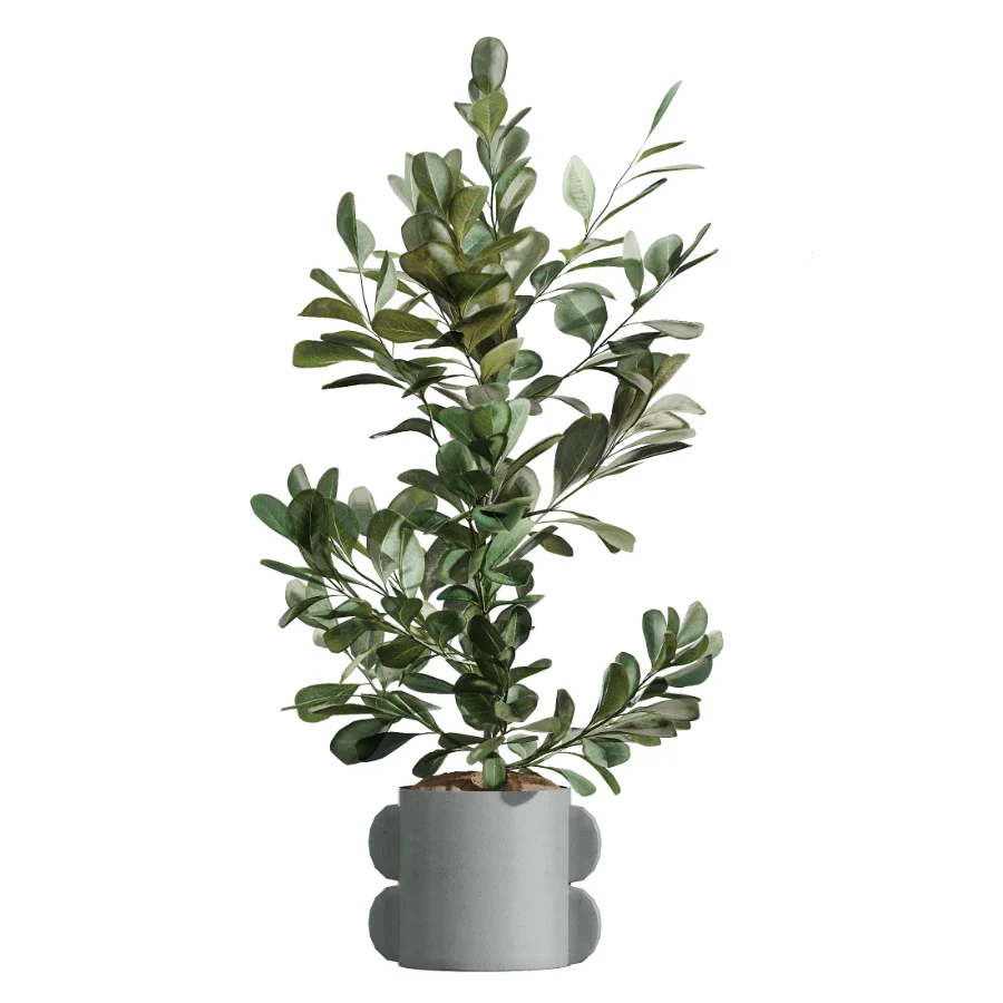 AV Indoor Plants Set 479 Olive Elegant Monstera Ficus Palm - Image 5