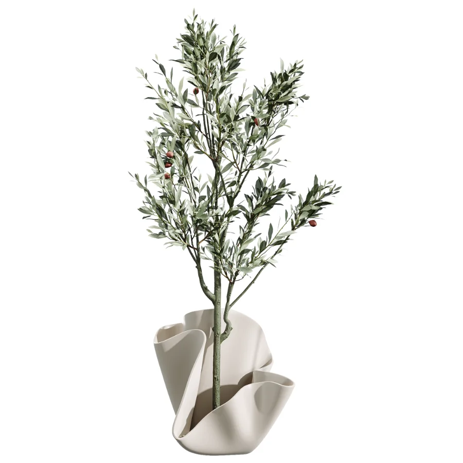 AV Indoor Plants Set 487 Lady Palm and Olive Tree and Snake Sansevieria - Image 4