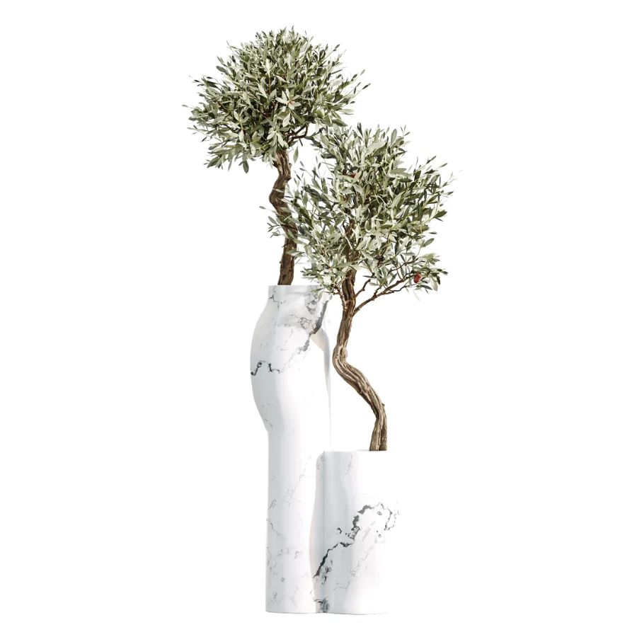 AV Indoor Plants Set 476 Yucca Elephantipes and Olive Tree and Zamioculcas Zamiifolia and Peace Lily - Image 8