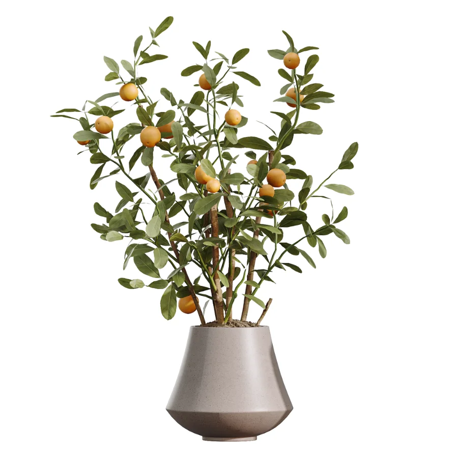 AV Indoor Plants Set 482 Peace Lily Banana Olive Yucca Orange - Image 3
