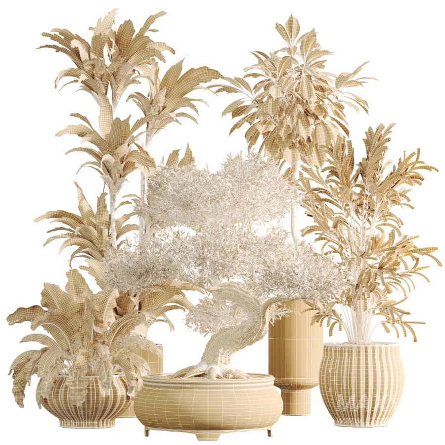 AV Indoor Plants Set 474 Areca Palm and Chemlali Olive and Ravenala Banana and Dracaena Lime Cane and Ficus Cyathistipula - Image 9