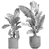 indoor plant 048 - Thumbnail 4